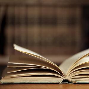 Fundraising Page: Tanya Ledford